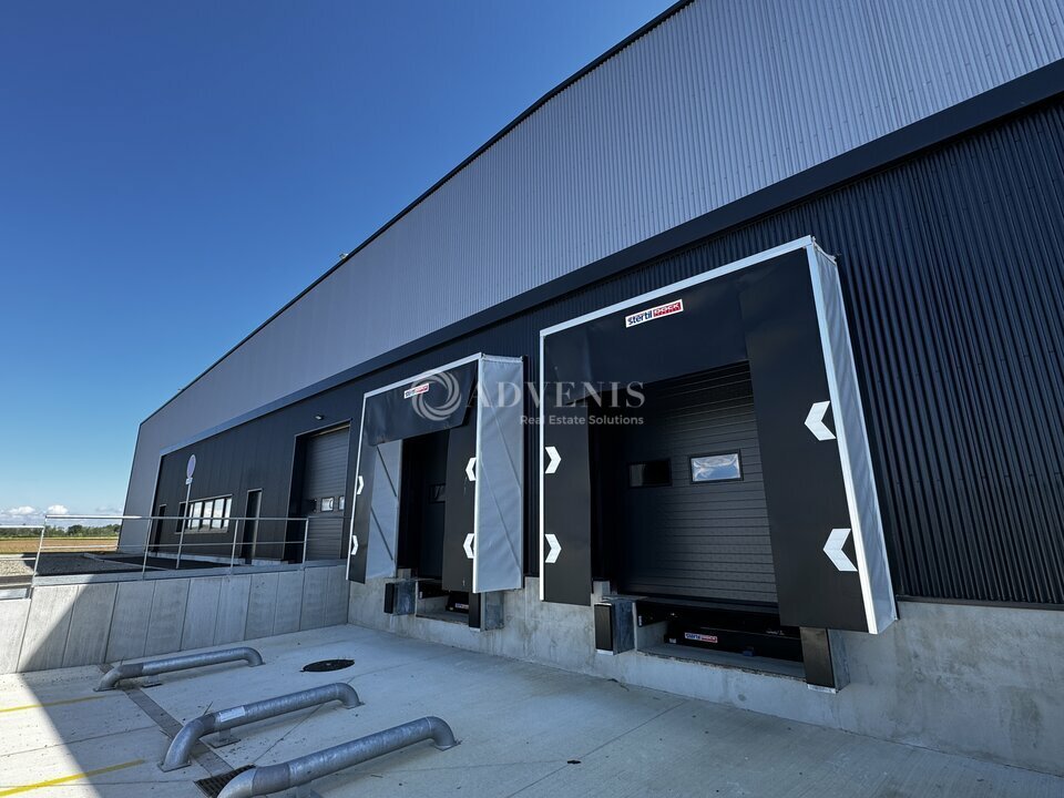 ADVENIS CONSEIL STRASBOURG LOCATION-ENTREPOT-FEGERSHEIM-67