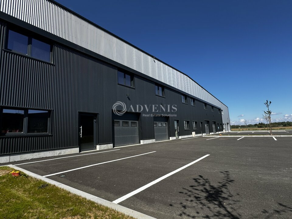ADVENIS CONSEIL STRASBOURG VENTE-LOCAL D'ACTIVITE-FEGERSHEIM-67