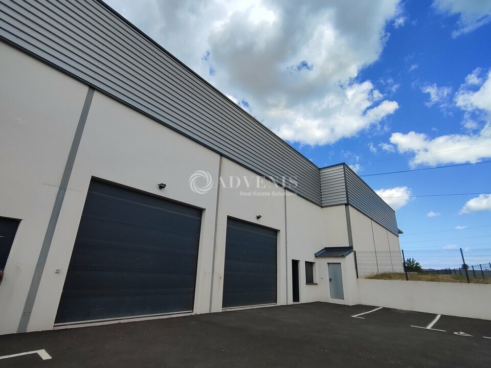 ADVENIS CONSEIL NARBONNE LOCATION-ENTREPOT-BEZIERS-34