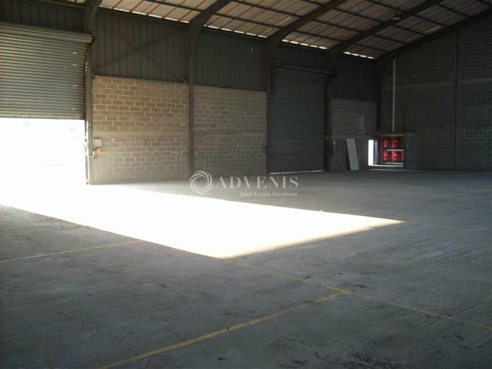 ADVENIS CONSEIL RENNES LOCATION-LOCAL D'ACTIVITE-YFFINIAC-22