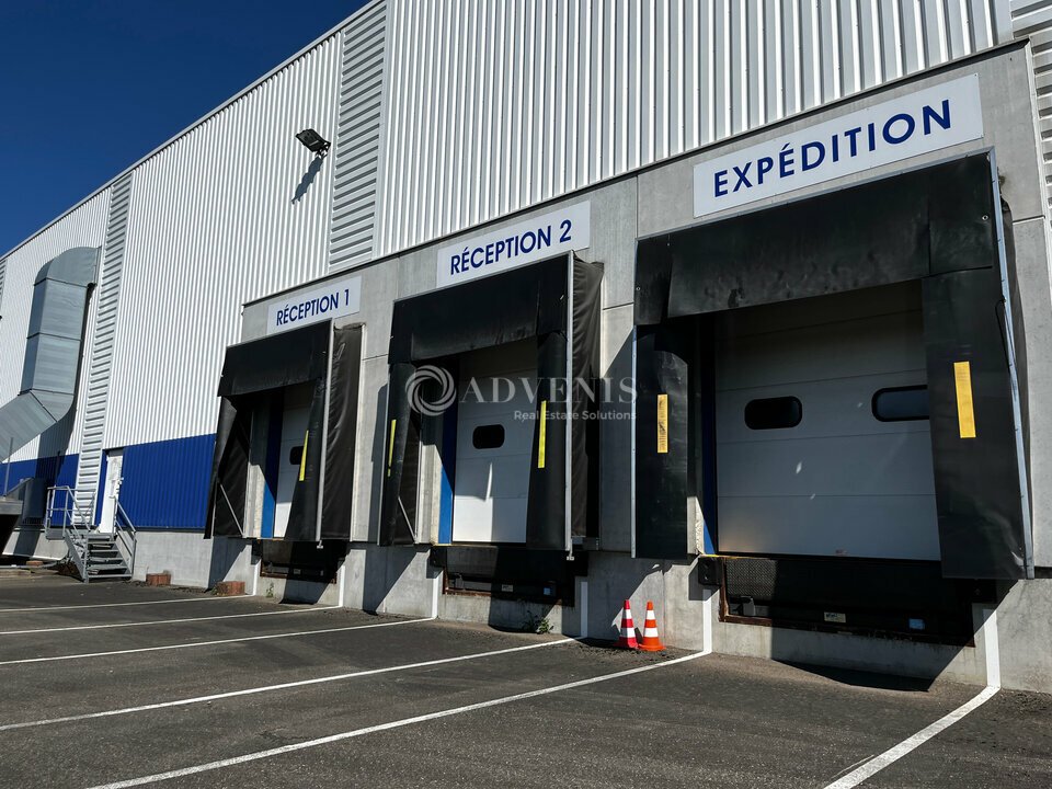 ADVENIS CONSEIL STRASBOURG LOCATION-ENTREPOT-OSTWALD-67