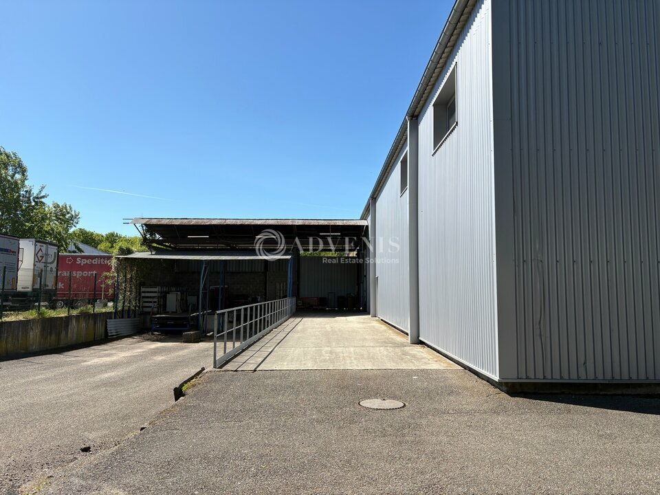 ADVENIS CONSEIL STRASBOURG LOCATION-LOCAL D'ACTIVITE-STRASBOURG-67
