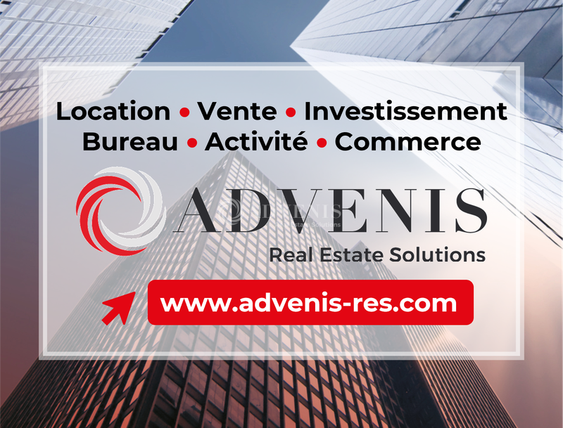 ADVENIS CONSEIL NANTES VENTE-LOCAL D'ACTIVITE-AIGREFEUILLE_SUR_MAINE-44