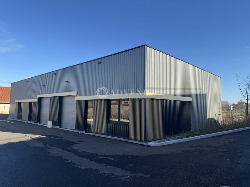 ADVENIS CONSEIL STRASBOURG LOCATION-LOCAL D'ACTIVITE-WINGERSHEIM-67