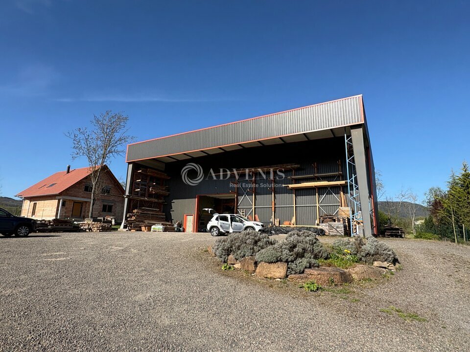 ADVENIS CONSEIL STRASBOURG LOCATION-LOCAL D'ACTIVITE-BERNARDSWILLER-67