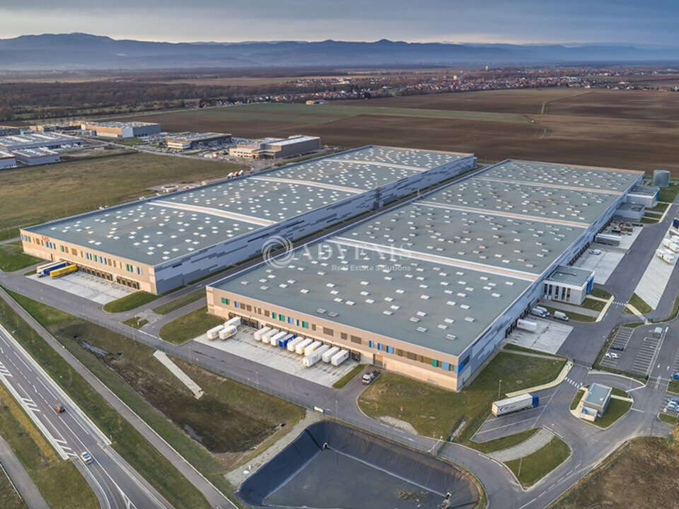 ADVENIS CONSEIL STRASBOURG LOCATION-ENTREPOT-ENSISHEIM-68