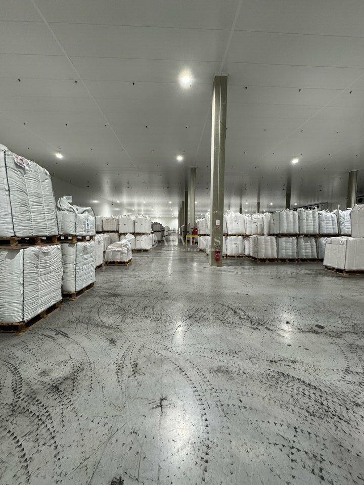 ADVENIS CONSEIL NARBONNE VENTE-ENTREPOT-LEZIGNAN-CORBIERES-11