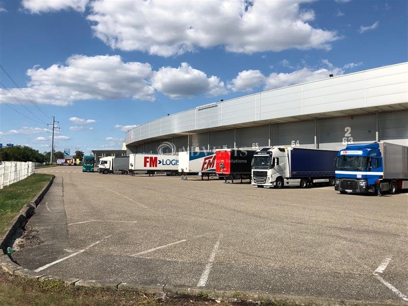 ADVENIS CONSEIL STRASBOURG LOCATION-ENTREPOT-BRUMATH-67
