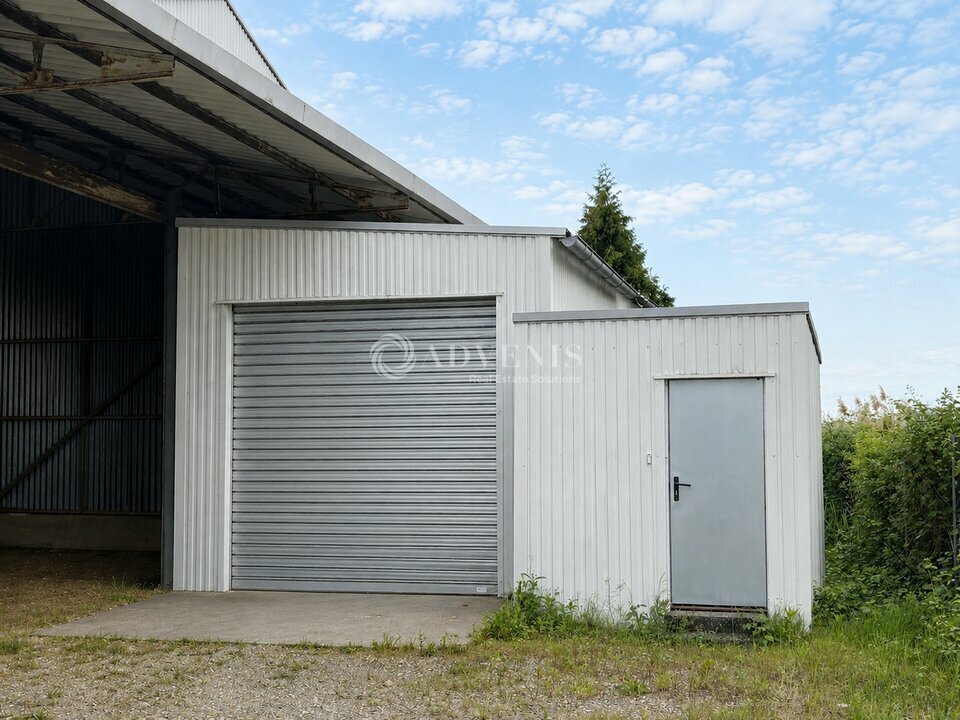 ADVENIS CONSEIL STRASBOURG LOCATION-LOCAL D'ACTIVITE-STRASBOURG-67