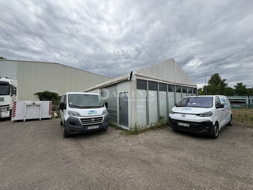 ADVENIS CONSEIL STRASBOURG LOCATION-LOCAL D'ACTIVITE-STRASBOURG-67