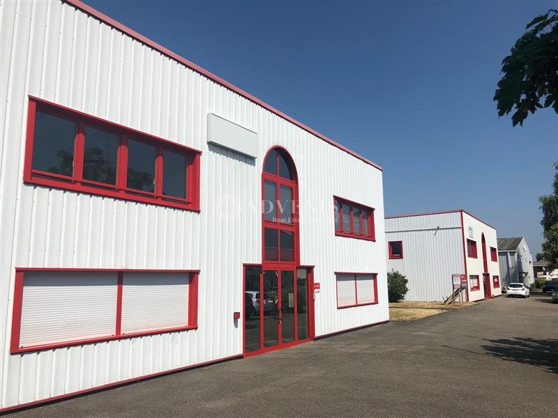 ADVENIS CONSEIL STRASBOURG LOCATION-LOCAL D'ACTIVITE-HOERDT-67