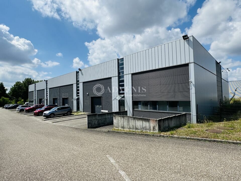 ADVENIS CONSEIL STRASBOURG LOCATION-LOCAL D'ACTIVITE-MUNDOLSHEIM-67