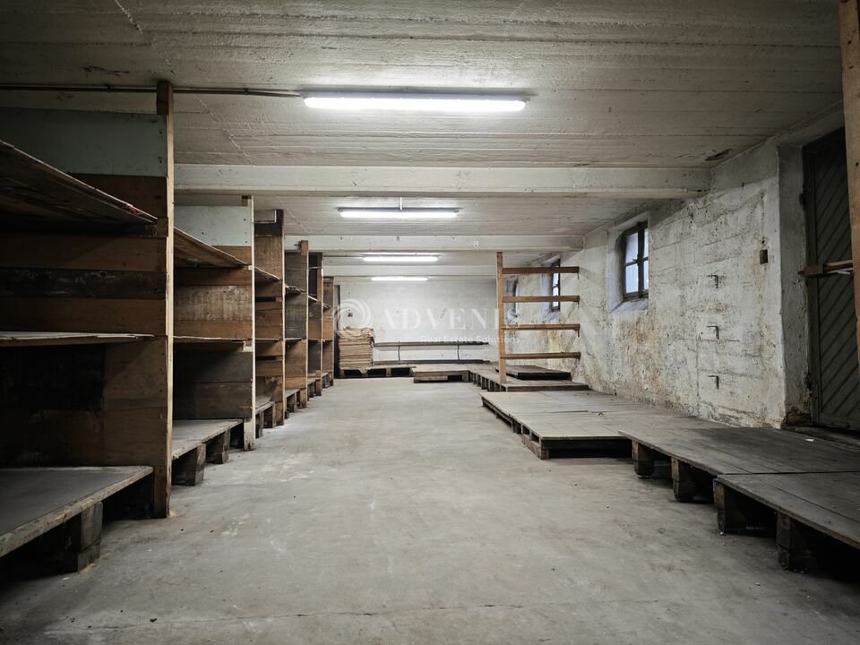 ADVENIS CONSEIL STRASBOURG LOCATION-LOCAL D'ACTIVITE-STRASBOURG-67