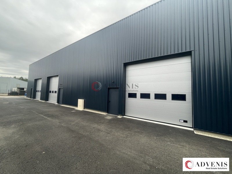 ADVENIS CONSEIL BORDEAUX LOCATION-LOCAL D'ACTIVITE-SALAUNES-33
