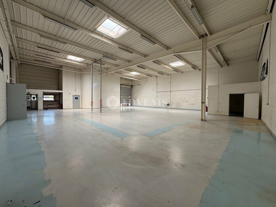 ADVENIS CONSEIL STRASBOURG LOCATION-LOCAL D'ACTIVITE-SOUFFELWEYERSHEIM-67