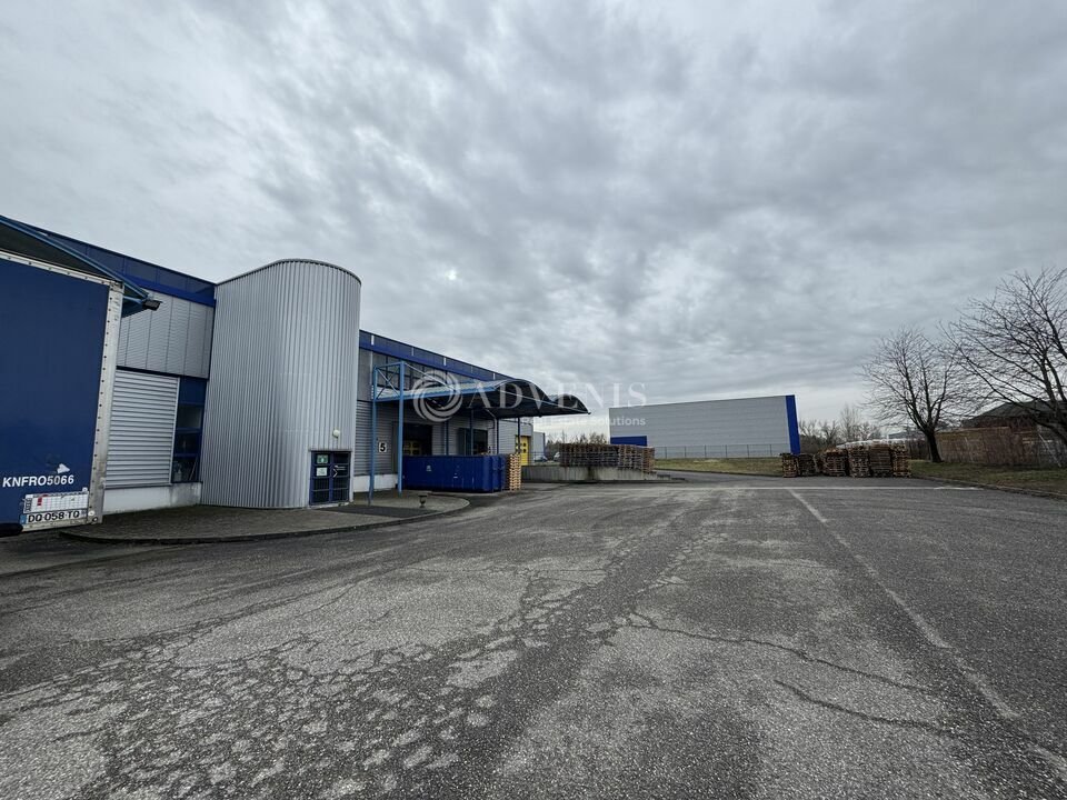 ADVENIS CONSEIL STRASBOURG LOCATION-ENTREPOT-HOERDT-67