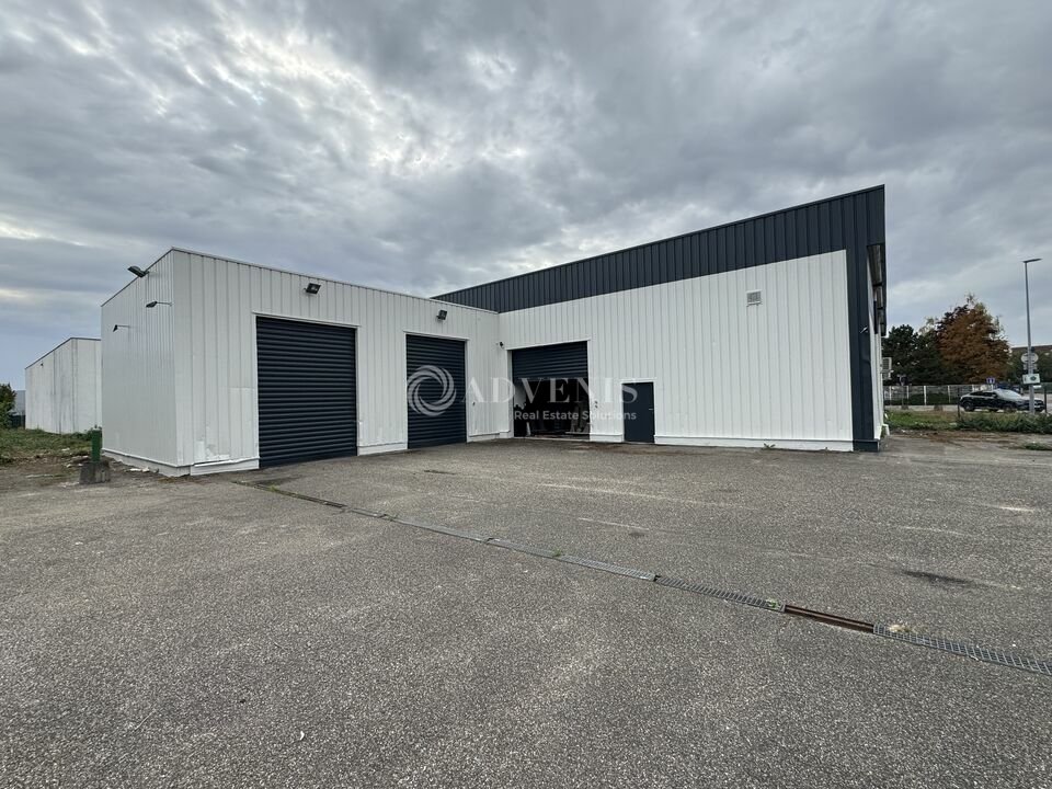 ADVENIS CONSEIL STRASBOURG LOCATION-LOCAL D'ACTIVITE-ECKBOLSHEIM-67