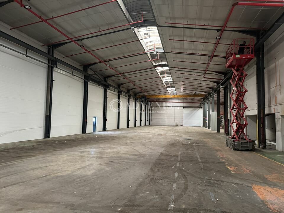 ADVENIS CONSEIL STRASBOURG VENTE-LOCAL D'ACTIVITE-STRASBOURG-67