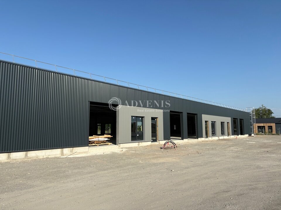 ADVENIS CONSEIL STRASBOURG VENTE-LOCAL D'ACTIVITE-GEISPOLSHEIM-67