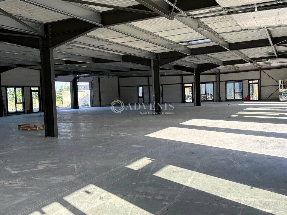 ADVENIS CONSEIL STRASBOURG LOCATION-LOCAL D'ACTIVITE-GEISPOLSHEIM-67