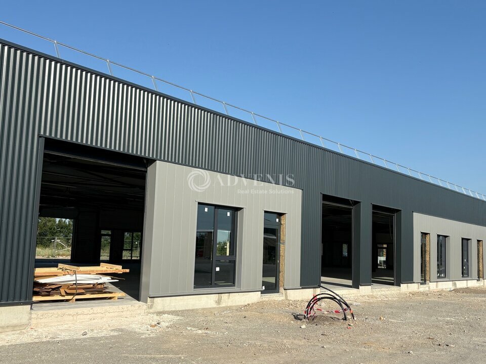 ADVENIS CONSEIL STRASBOURG LOCATION-LOCAL D'ACTIVITE-GEISPOLSHEIM-67