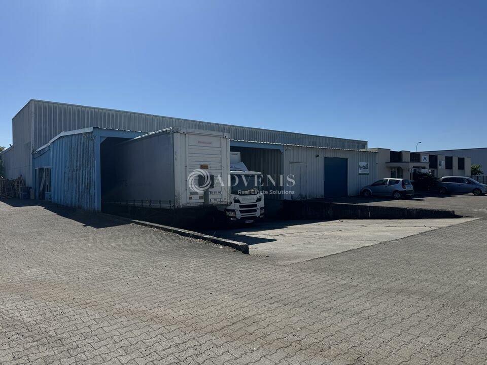 ADVENIS CONSEIL STRASBOURG LOCATION-LOCAL D'ACTIVITE-HOERDT-67
