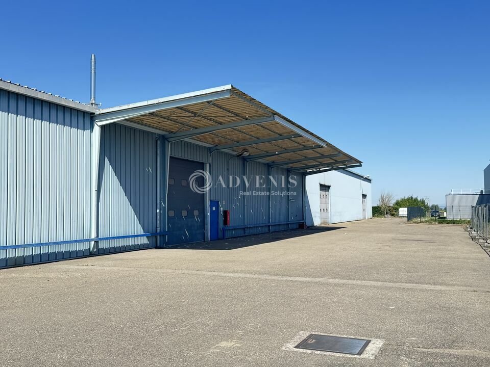 ADVENIS CONSEIL STRASBOURG VENTE-LOCAL D'ACTIVITE-DUPPIGHEIM-67