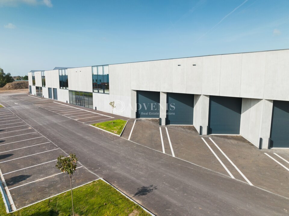 ADVENIS CONSEIL IDF EST LOCATION-LOCAL D'ACTIVITE-LE_MESNIL_AMELOT-77