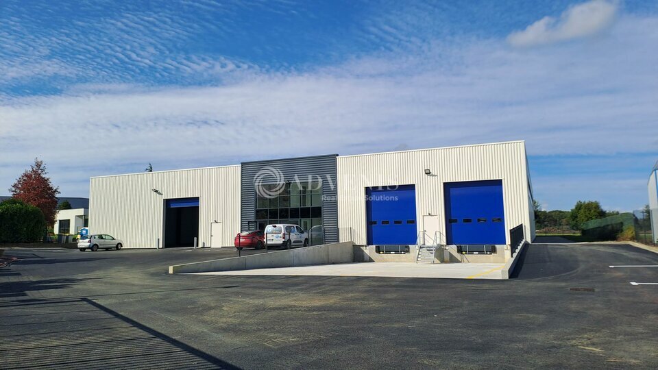 ADVENIS CONSEIL NANTES LOCATION-ENTREPOT-CARQUEFOU-44