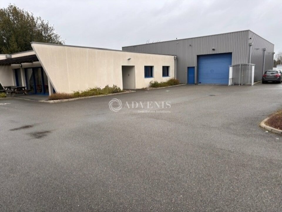 ADVENIS CONSEIL LE MANS LOCATION-LOCAL D'ACTIVITE-LE_MANS-72