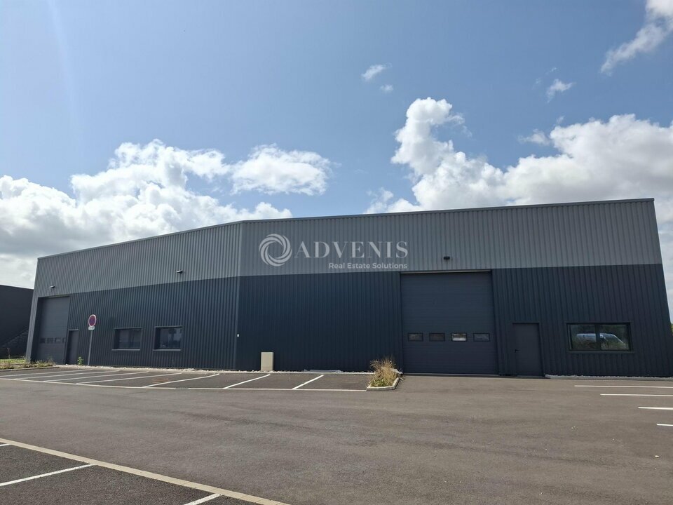 ADVENIS CONSEIL NANCY VENTE-LOCAL D'ACTIVITE-DOMBASLE_SUR_MEURTHE-54