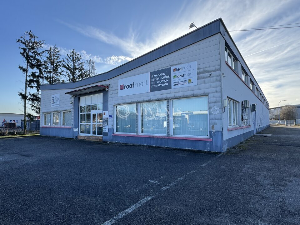 ADVENIS CONSEIL STRASBOURG VENTE-LOCAL D'ACTIVITE-REICHSTETT-67