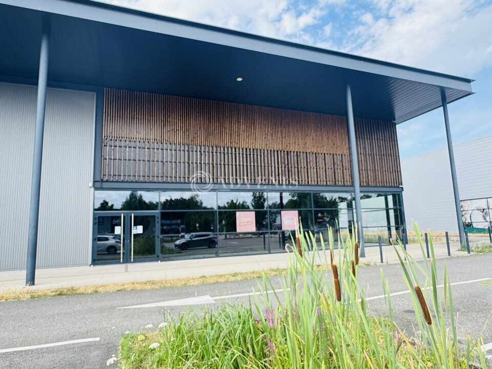 ADVENIS CONSEIL STRASBOURG LOCATION-LOCAL COMMERCIAL-HAGUENAU-67