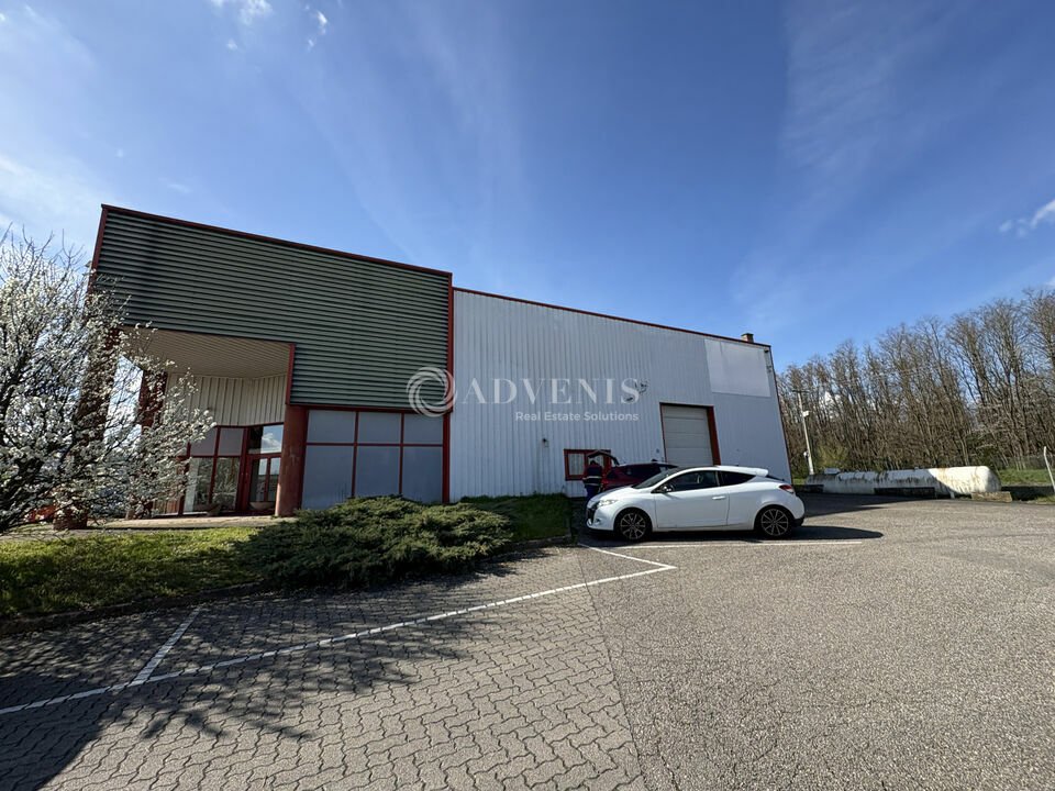 ADVENIS CONSEIL STRASBOURG LOCATION-ENTREPOT-SCHERWILLER-67