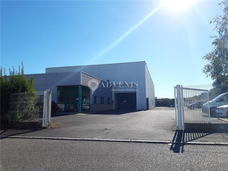 ADVENIS CONSEIL NANTES LOCATION-LOCAL D'ACTIVITE-SAINTE_LUCE_SUR_LOIRE-44