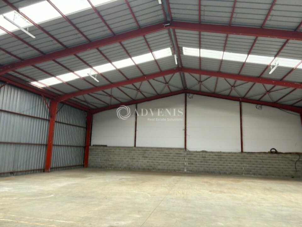 ADVENIS CONSEIL BLOIS LOCATION-LOCAL D'ACTIVITE-BLOIS-41