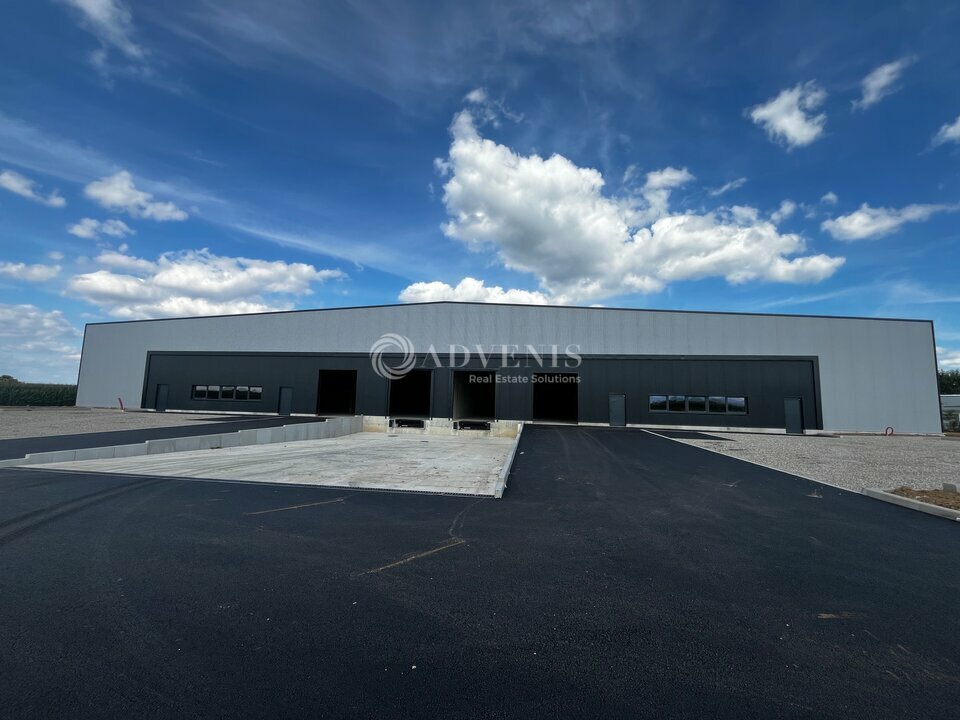 ADVENIS CONSEIL STRASBOURG VENTE-ENTREPOT-FEGERSHEIM-67