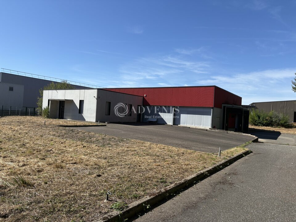 ADVENIS CONSEIL STRASBOURG VENTE-LOCAL D'ACTIVITE-HOERDT-67