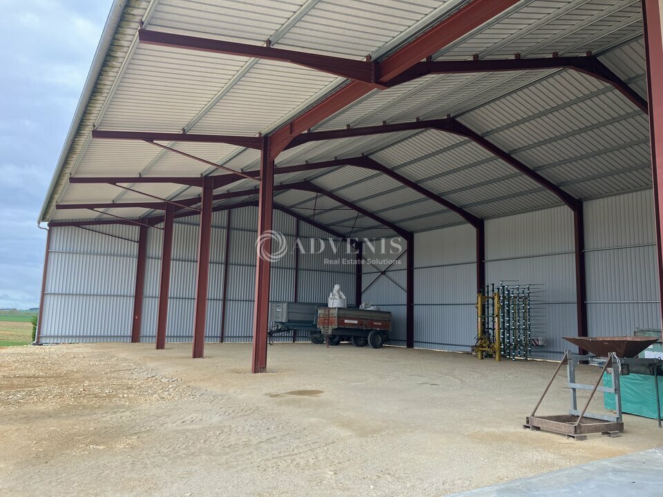 ADVENIS CONSEIL BOURGES LOCATION-ENTREPOT-PLAIMPIED-GIVAUDINS-18
