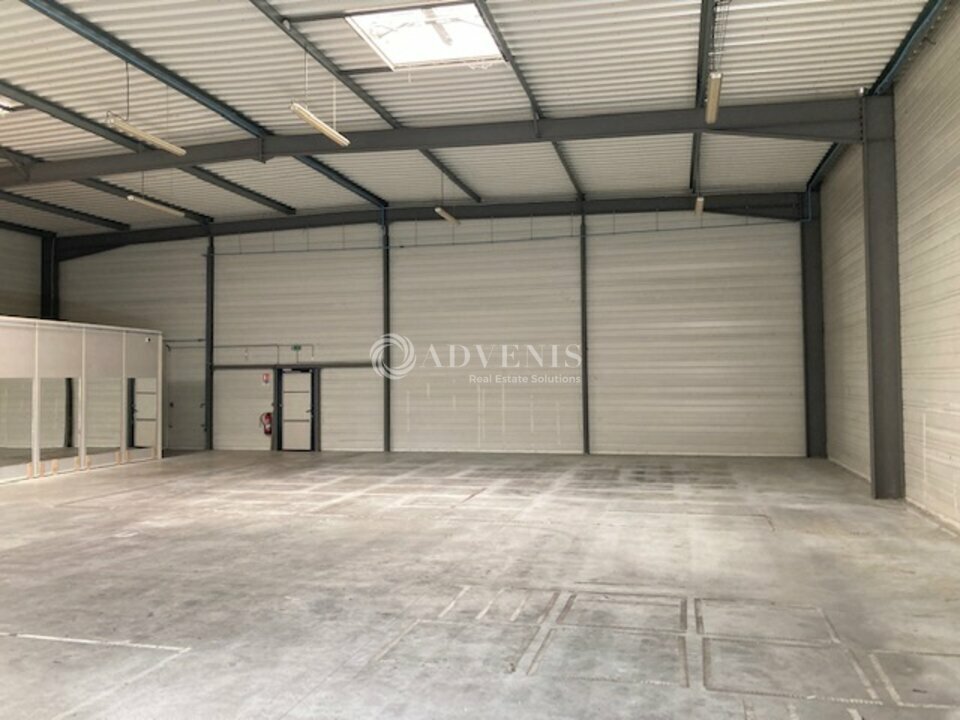 ADVENIS CONSEIL BLOIS LOCATION-LOCAL D'ACTIVITE-BLOIS-41