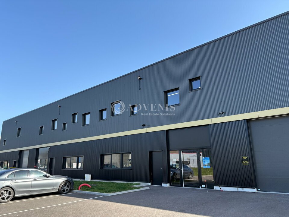 ADVENIS CONSEIL STRASBOURG LOCATION-LOCAL D'ACTIVITE-MARLENHEIM-67