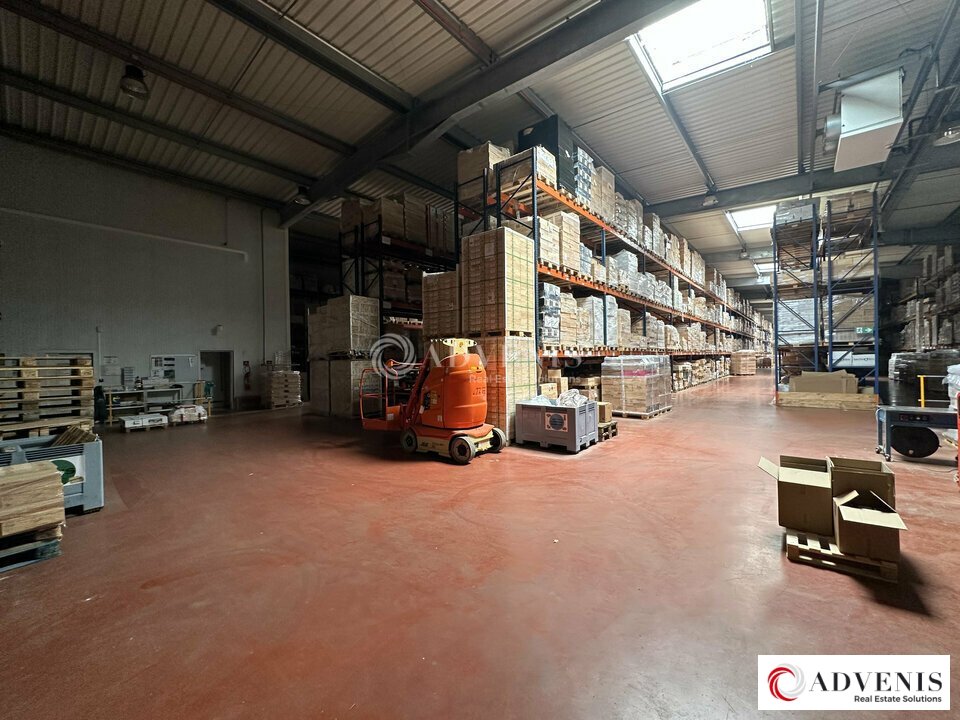 ADVENIS CONSEIL BORDEAUX LOCATION-LOCAL D'ACTIVITE-BRUGES-33
