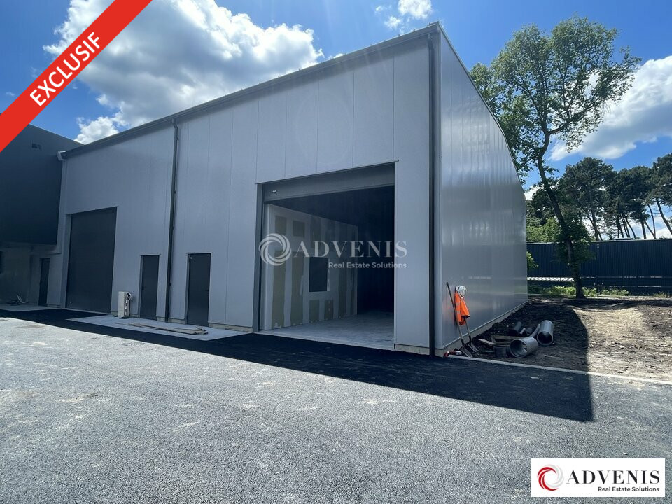 ADVENIS CONSEIL BORDEAUX LOCATION-LOCAL D'ACTIVITE-CANEJAN-33