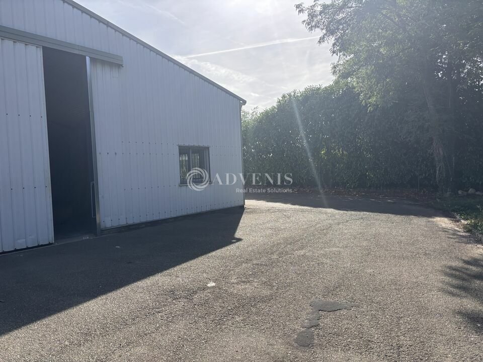 ADVENIS CONSEIL LE MANS LOCATION-LOCAL D'ACTIVITE-LE_MANS-72