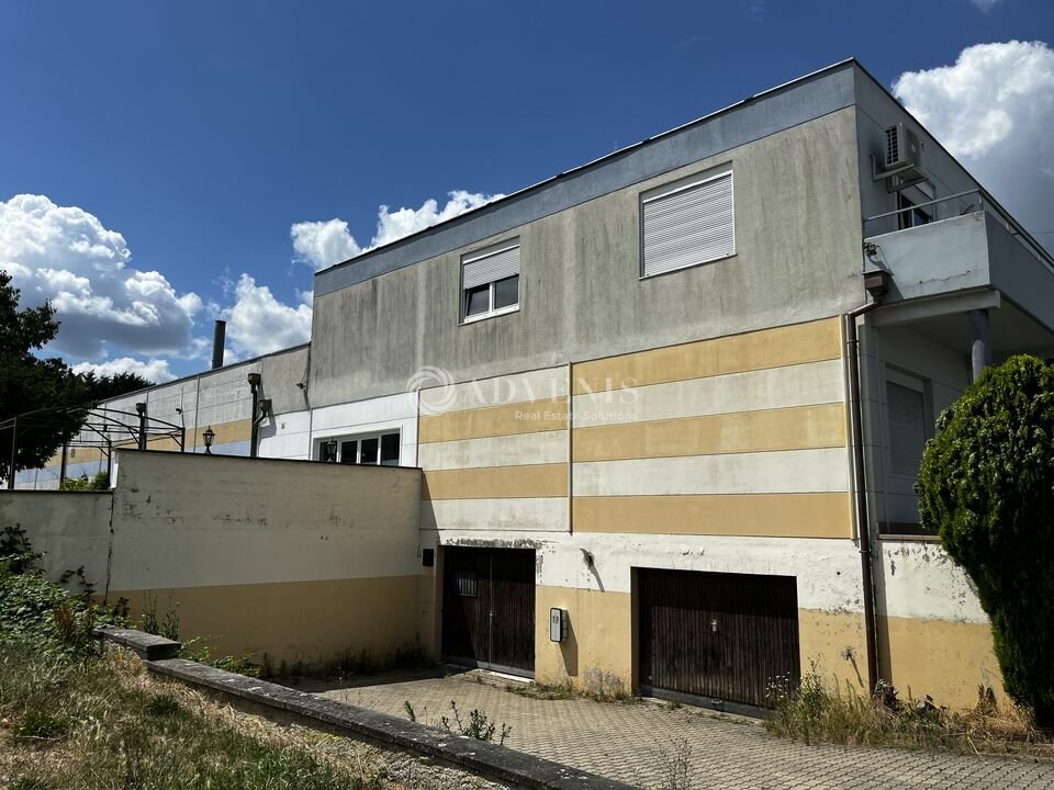 ADVENIS CONSEIL STRASBOURG VENTE-LOCAL D'ACTIVITE-ITTENHEIM-67