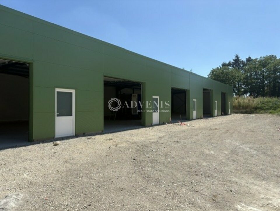 ADVENIS CONSEIL BLOIS LOCATION-LOCAL D'ACTIVITE-COUR_CHEVERNY-41