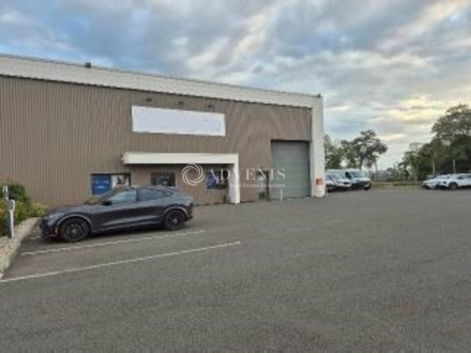 ADVENIS CONSEIL LE MANS LOCATION-LOCAL D'ACTIVITE-LE_MANS-72