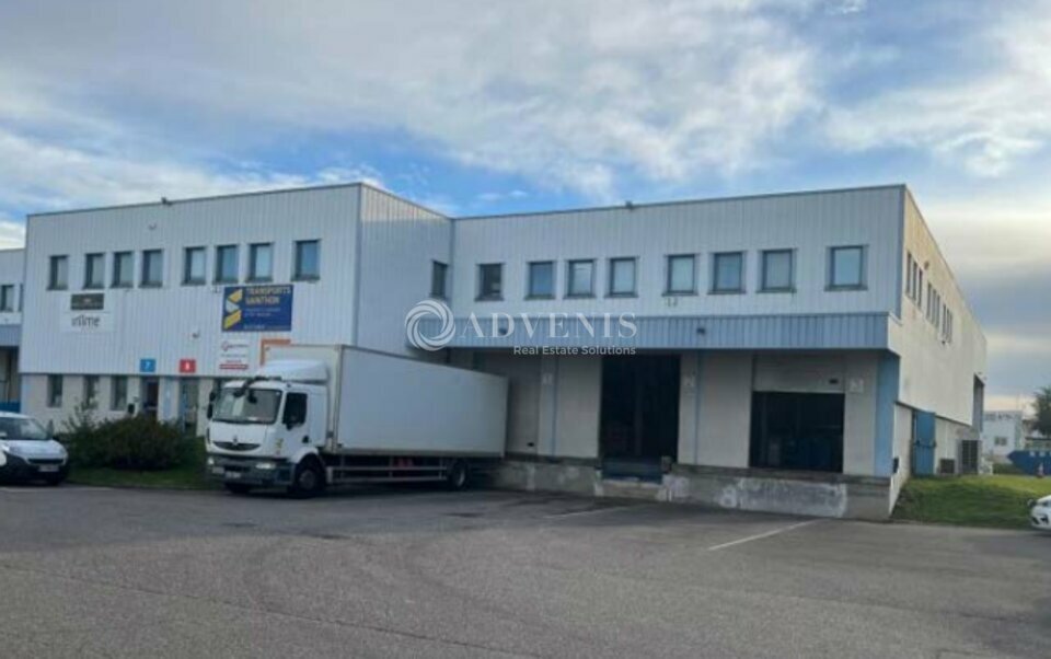ADVENIS CONSEIL LYON LOCATION-ENTREPOT-GENAS-69