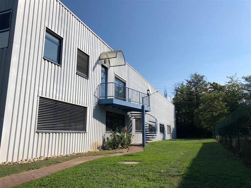 ADVENIS CONSEIL STRASBOURG LOCATION-LOCAL D'ACTIVITE-GEISPOLSHEIM-67