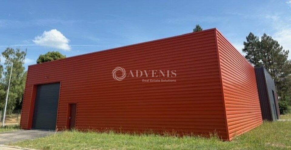 ADVENIS CONSEIL BLOIS LOCATION-LOCAL D'ACTIVITE-VINEUIL-41